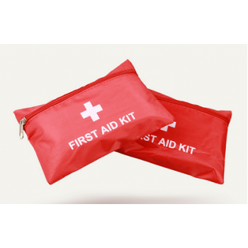 First Aid Kit 100